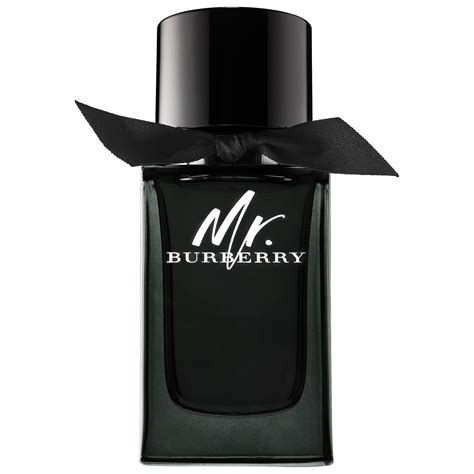 mr burberry eau de parfum 5 oz|mr burberry perfume 50ml.